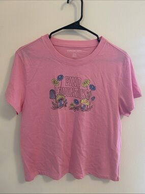 American Eagle Outfitters Pink 'Find Adventure' Graphic Tee